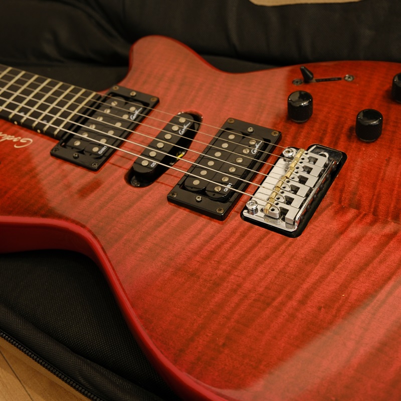 Godin xtSA (Dark Trans Red)の画像